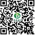 女生的逼在线看免费